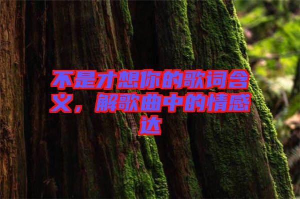 不是才想你的歌詞含義，解歌曲中的情感達