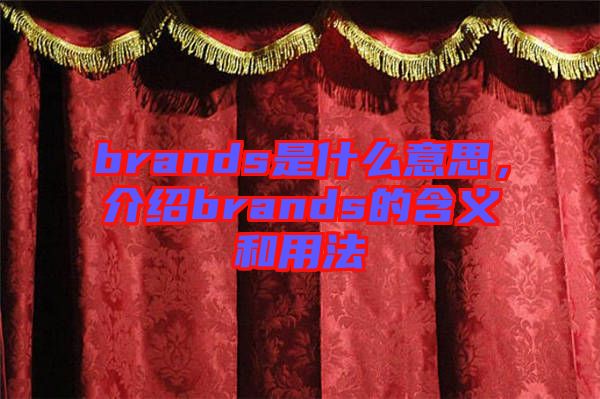 brands是什么意思，介紹brands的含義和用法