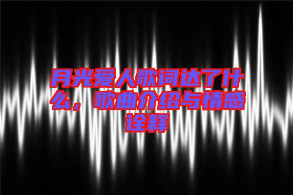 月光愛人歌詞達了什么，歌曲介紹與情感詮釋