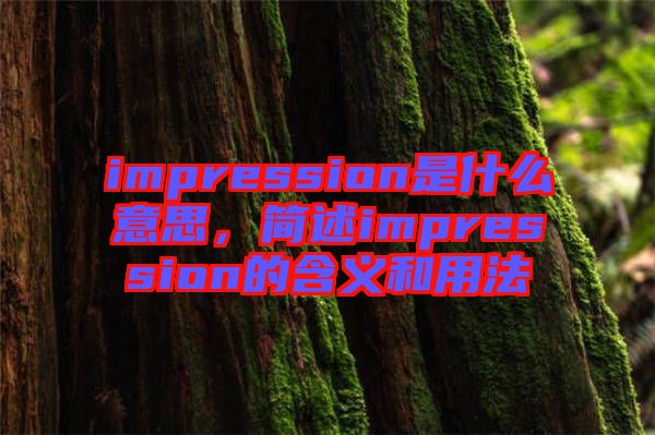 impression是什么意思，簡述impression的含義和用法