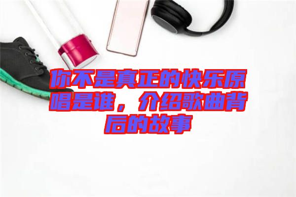 你不是真正的快樂原唱是誰，介紹歌曲背后的故事