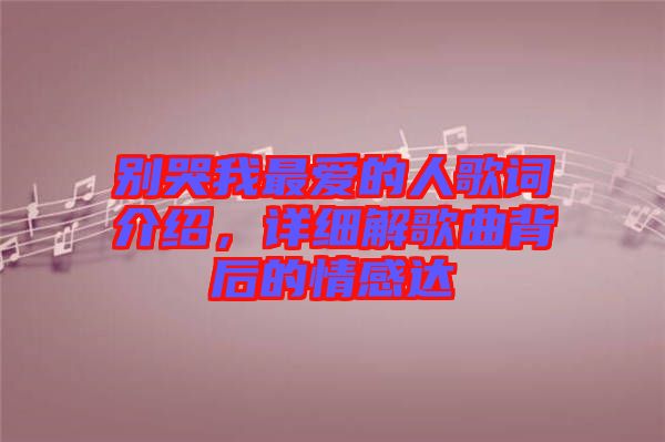 別哭我最愛的人歌詞介紹，詳細解歌曲背后的情感達