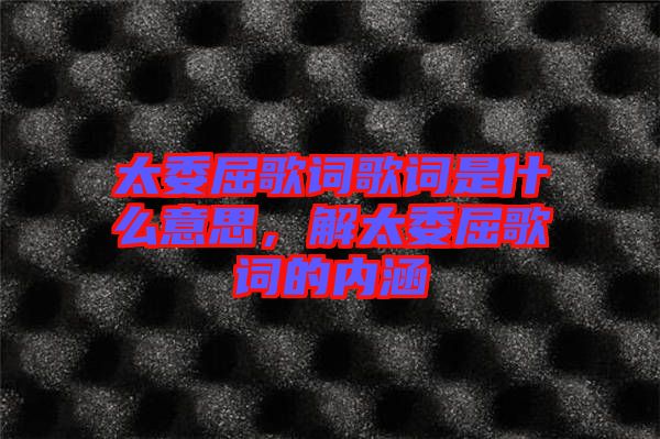 太委屈歌詞歌詞是什么意思，解太委屈歌詞的內涵