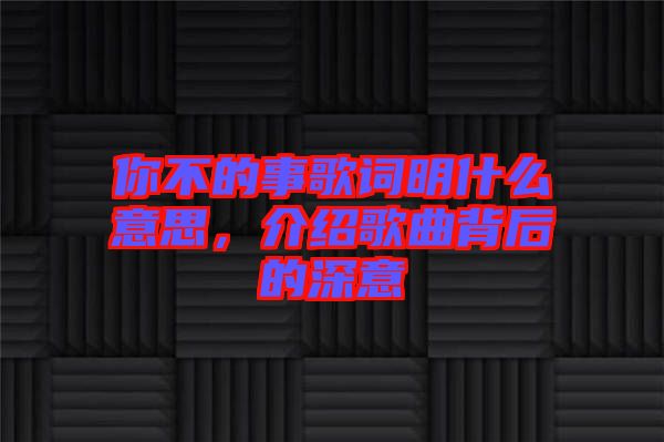 你不的事歌詞明什么意思，介紹歌曲背后的深意