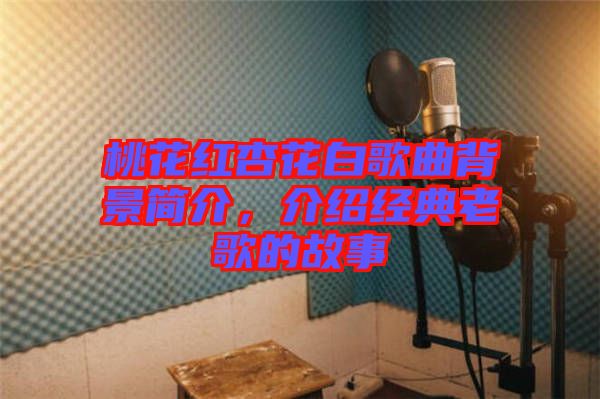 桃花紅杏花白歌曲背景簡(jiǎn)介，介紹經(jīng)典老歌的故事