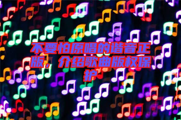 不要怕原唱的諧音正版，介紹歌曲版權保護