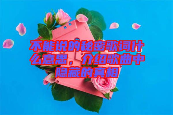 不能說的秘密歌詞什么意思，介紹歌曲中隱藏的真相