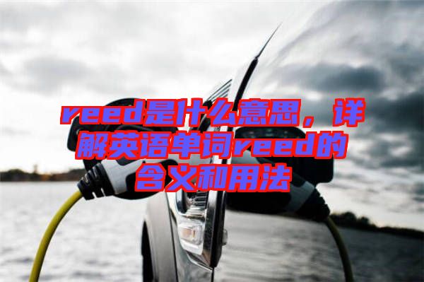 reed是什么意思，詳解英語單詞reed的含義和用法