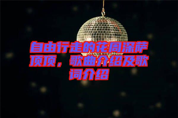 自由行走的花周深薩頂頂，歌曲介紹及歌詞介紹