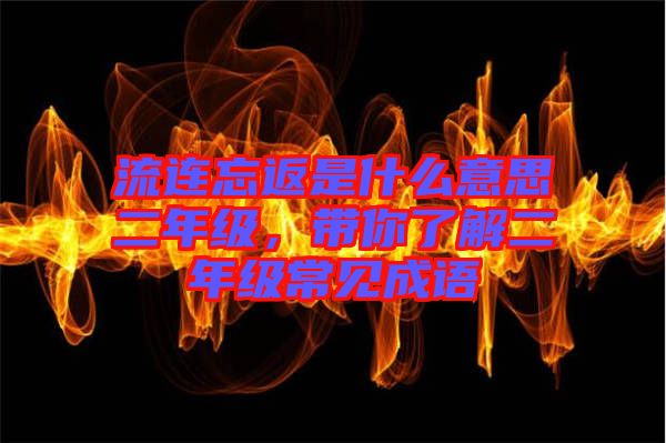 流連忘返是什么意思二年級，帶你了解二年級常見成語