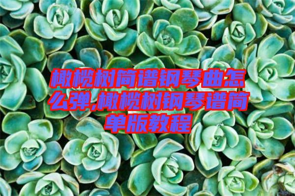 橄欖樹(shù)簡(jiǎn)譜鋼琴曲怎么彈,橄欖樹(shù)鋼琴譜簡(jiǎn)單版教程