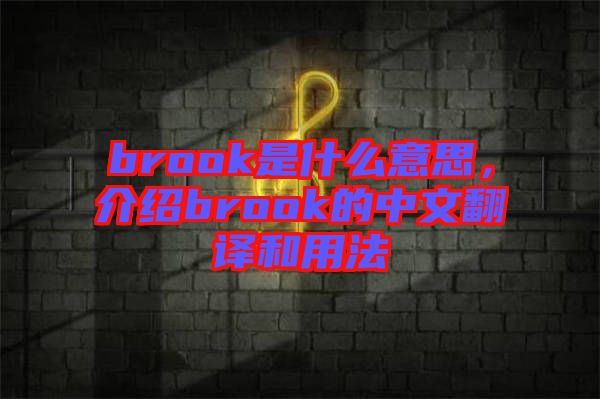 brook是什么意思，介紹brook的中文翻譯和用法