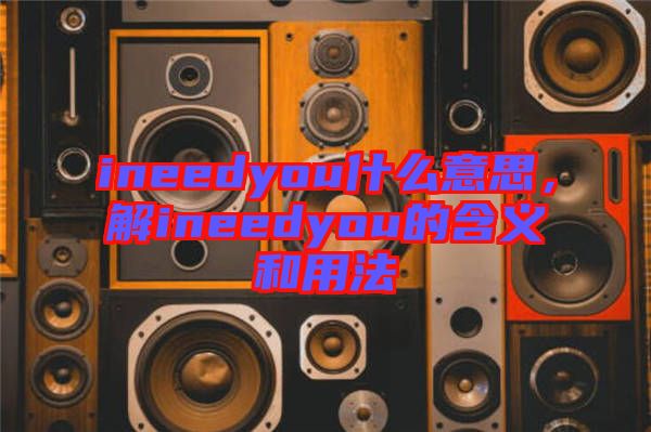 ineedyou什么意思，解ineedyou的含義和用法