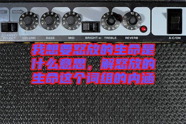 我想要怒放的生命是什么意思，解怒放的生命這個詞組的內涵