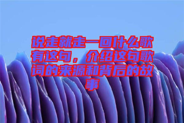 說走就走一回什么歌有這句，介紹這句歌詞的來源和背后的故事