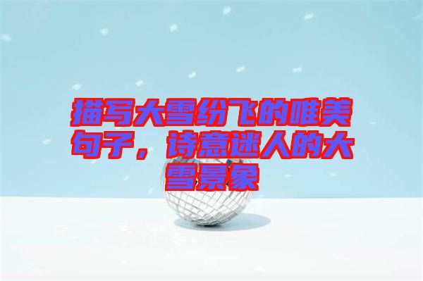 描寫大雪紛飛的唯美句子，詩(shī)意迷人的大雪景象