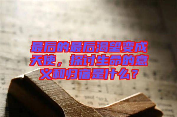 最后的最后渴望變成天使，探討生命的意義和歸宿是什么？