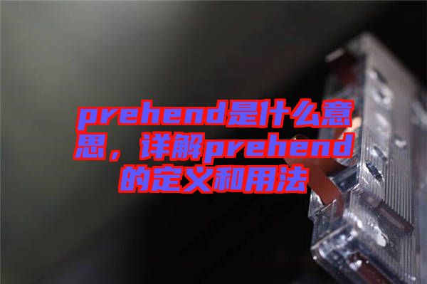 prehend是什么意思，詳解prehend的定義和用法