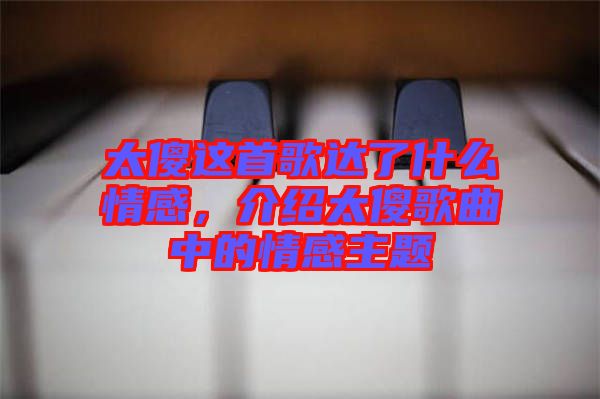 太傻這首歌達了什么情感，介紹太傻歌曲中的情感主題