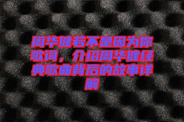 周華健若不是因為你歌詞，介紹周華健經典歌曲背后的故事詳解