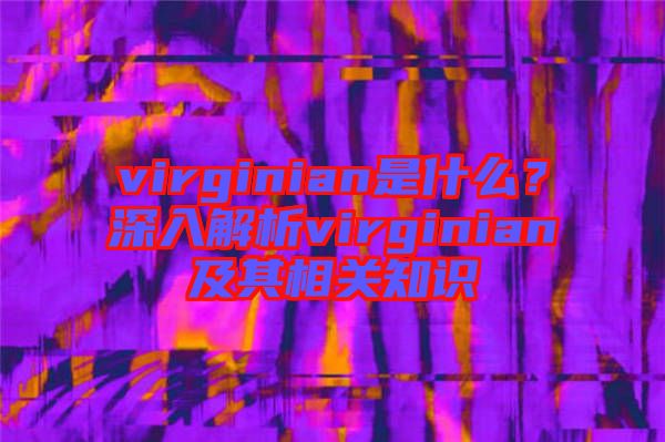 virginian是什么？深入解析virginian及其相關知識