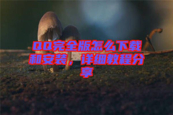 QQ完全版怎么下載和安裝，詳細教程分享