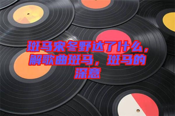 斑馬宋冬野達了什么，解歌曲斑馬，斑馬的深意