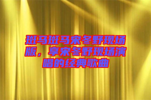 斑馬斑馬宋冬野現(xiàn)場版，享宋冬野現(xiàn)場演唱的經典歌曲