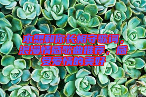 本想和你長(zhǎng)相守歌詞，浪漫情感歌曲推薦，感受愛(ài)情的美好