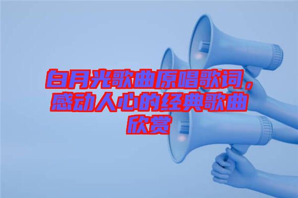 白月光歌曲原唱歌詞，感動人心的經典歌曲欣賞