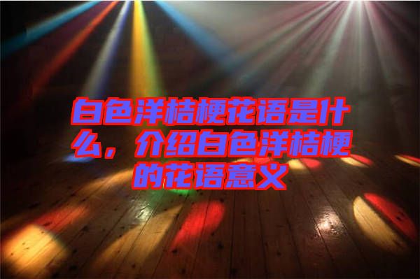 白色洋桔?；ㄕZ是什么，介紹白色洋桔梗的花語意義