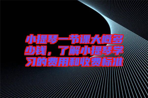 小提琴一節(jié)課大概多少錢，了解小提琴學習的費用和收費標準