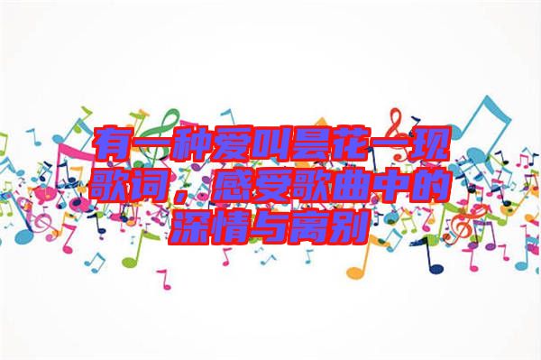 有一種愛叫曇花一現歌詞，感受歌曲中的深情與離別