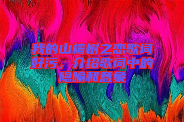 我的山楂樹之戀歌詞好污，介紹歌詞中的隱喻和意象