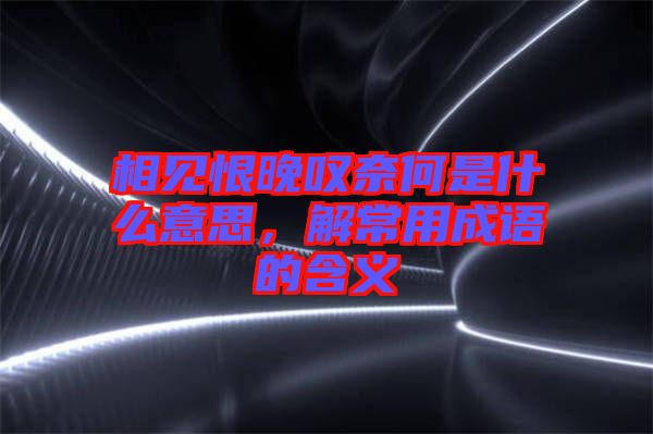 相見恨晚嘆奈何是什么意思，解常用成語的含義