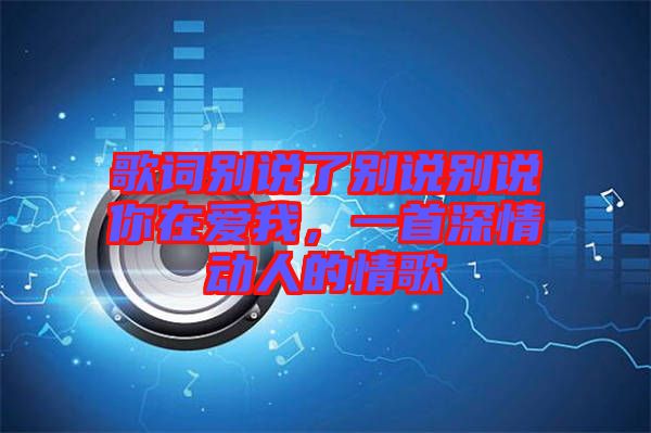 歌詞別說了別說別說你在愛我，一首深情動人的情歌