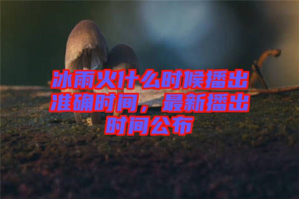 冰雨火什么時候播出準確時間，最新播出時間公布