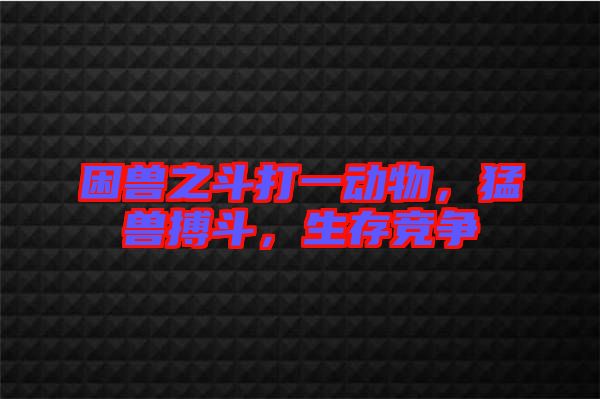 困獸之斗打一動物，猛獸搏斗，生存競爭