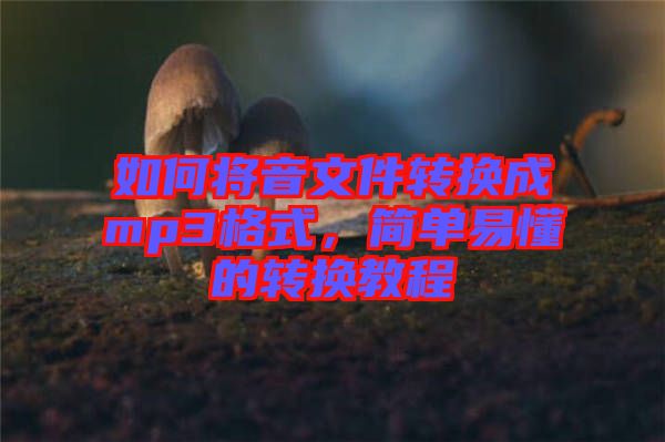 如何將音文件轉換成mp3格式，簡單易懂的轉換教程