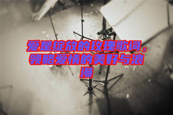 愛是綻放的玫瑰歌詞，領(lǐng)略愛情的美好與浪漫