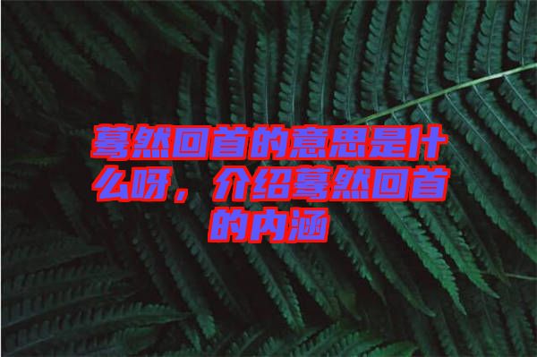 驀然回首的意思是什么呀，介紹驀然回首的內涵