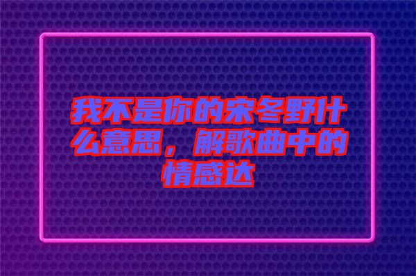 我不是你的宋冬野什么意思，解歌曲中的情感達