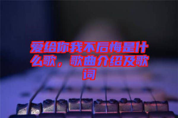 愛給你我不后悔是什么歌，歌曲介紹及歌詞