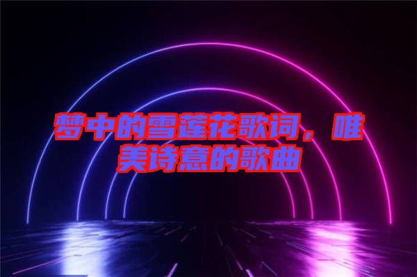 夢中的雪蓮花歌詞，唯美詩意的歌曲