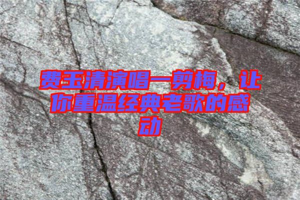 費玉清演唱一剪梅，讓你重溫經典老歌的感動