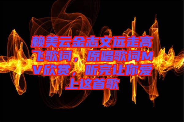 賴美云金志文遠走高飛歌詞，原唱歌詞MV欣賞，聽完讓你愛上這首歌