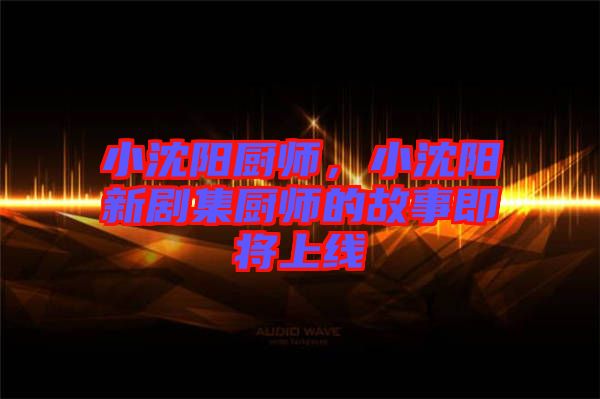 小沈陽廚師，小沈陽新劇集廚師的故事即將上線