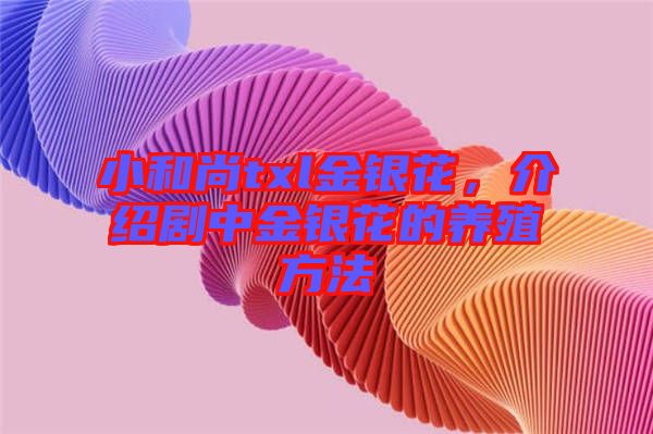 小和尚txl金銀花，介紹劇中金銀花的養殖方法