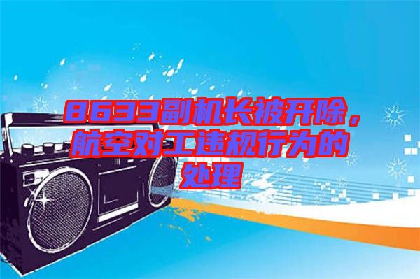 8633副機長被開除，航空對工違規行為的處理