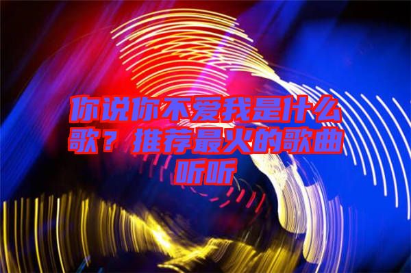 你說你不愛我是什么歌？推薦最火的歌曲聽聽